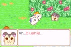 Hamtaro: Ham-Ham Heartbreak screenshot 1